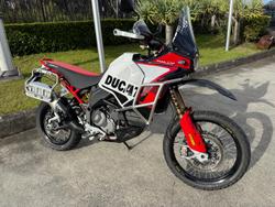 2025 Ducati Desert X Rally