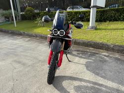 2025 Ducati Desert X Rally