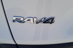 2021 Toyota RAV4 Cruiser
