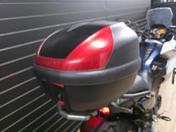 2025 Kawasaki VERSYS-X 300 White