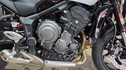 2026 Triumph TRIDENT 660 (LAMS)