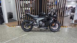 Triumph Daytona 660 (lams)