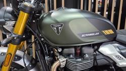 2026 Triumph SCRAMBLER 900 GREEN