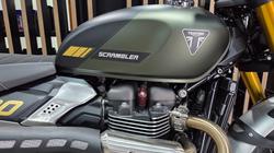 2026 Triumph SCRAMBLER 900 GREEN