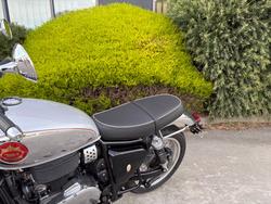 2026 Bsa 650 Goldstar Silver
