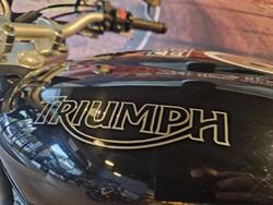 2010 Triumph Speed Triple 1050 Speed Triple Black