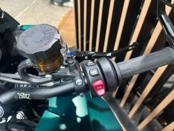 2026 BMW Motorrad M 1000 XR GREEN