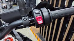 2026 BMW Motorrad F 900 GS Black