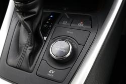 2020 Toyota RAV4 Cruiser
