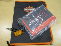 2024 HARLEY-DAVIDSON HD350-10 H-DX X350 SILVER