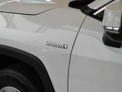 2019 Toyota RAV4 GX