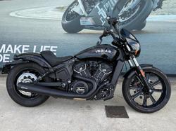 Indian Scout Rogue