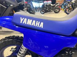 2027 Yamaha PW50V (PEE-WEE) Minibike