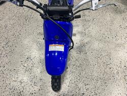 2027 Yamaha PW50V (PEE-WEE) Minibike