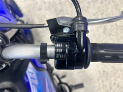 2027 Yamaha PW50V (PEE-WEE) Minibike