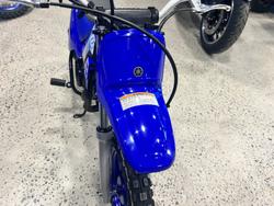 2027 Yamaha PW50V (PEE-WEE) Minibike