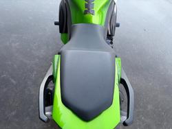 2012 Kawasaki NINJA 1000 Green