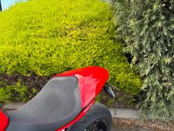 2019 DUCATI SUPERSPORT S