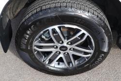 2024 Ford Everest Trend