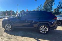 2019 Toyota RAV4 Cruiser
