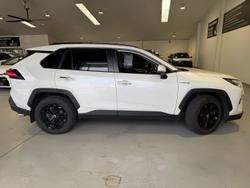 2022 Toyota RAV4 Cruiser