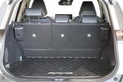 2025 Toyota RAV4 Cruiser