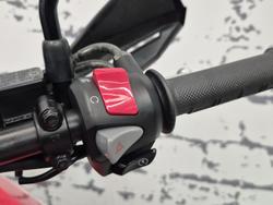 2023 Honda CRF300 Rally CRF Red