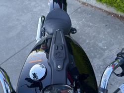 2025 Indian SCOUT CLASSIC Black