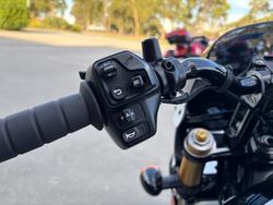 2025 Indian SCOUT 101 White