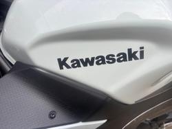 2026 Kawasaki Ninja 500 SE Ninja White