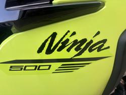 2026 Kawasaki Ninja 500 (EX500G) Ninja Green