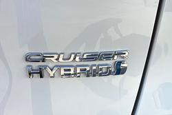 2020 Toyota RAV4 Cruiser