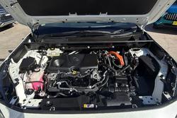 2020 Toyota RAV4 Cruiser