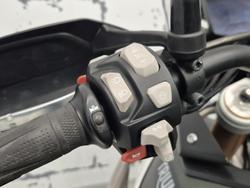 2022 Triumph Tiger 900 Rally Tiger Green