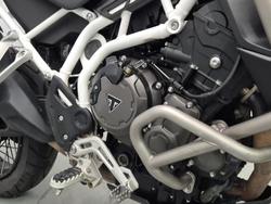 2022 Triumph Tiger 900 Rally Tiger Green
