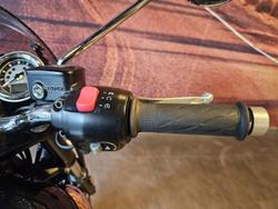 2024 Triumph Bonneville T100 (900cc) Bonneville