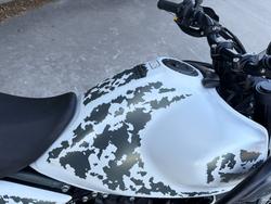2024 Royal Enfield HIMALAYAN 450 White
