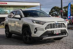 2020 Toyota RAV4 Cruiser