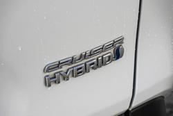 2020 Toyota RAV4 Cruiser