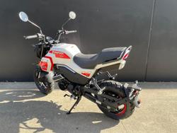2025 CFMOTO XO Papio Trail XO Papio White