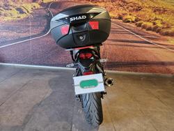 2024 Kawasaki Z900RS (Z900C) Z Maroon