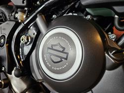2024 Harley-Davidson X 350 X Silver