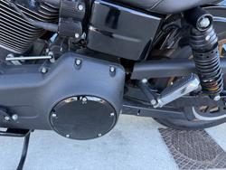2016 HARLEY-DAVIDSON FXDLS LOW RIDER S Black