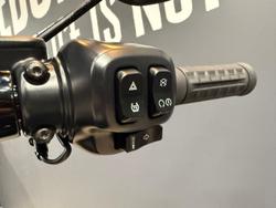 2026 Harley-Davidson Breakout 117 (FXBR) Softail