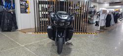 2022 Indian PURSUIT LIMITED PREMIUM