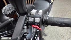 2022 Triumph TIGER 1200 RALLY EXPLORER Black