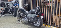 2008 Harley-Davidson FXSTC SOFTAIL CUSTOM Black