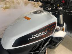 2024 HARLEY-DAVIDSON HD350-10 H-DX X350 WHITE