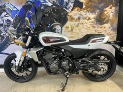 2024 HARLEY-DAVIDSON HD350-10 H-DX X350 WHITE