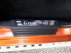 2019 Great Wall Steed